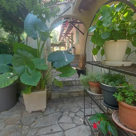 A Dans Cadre Exceptionnel De Verdure Entre Montpellier Et Nimes A 1/2h Des Plages